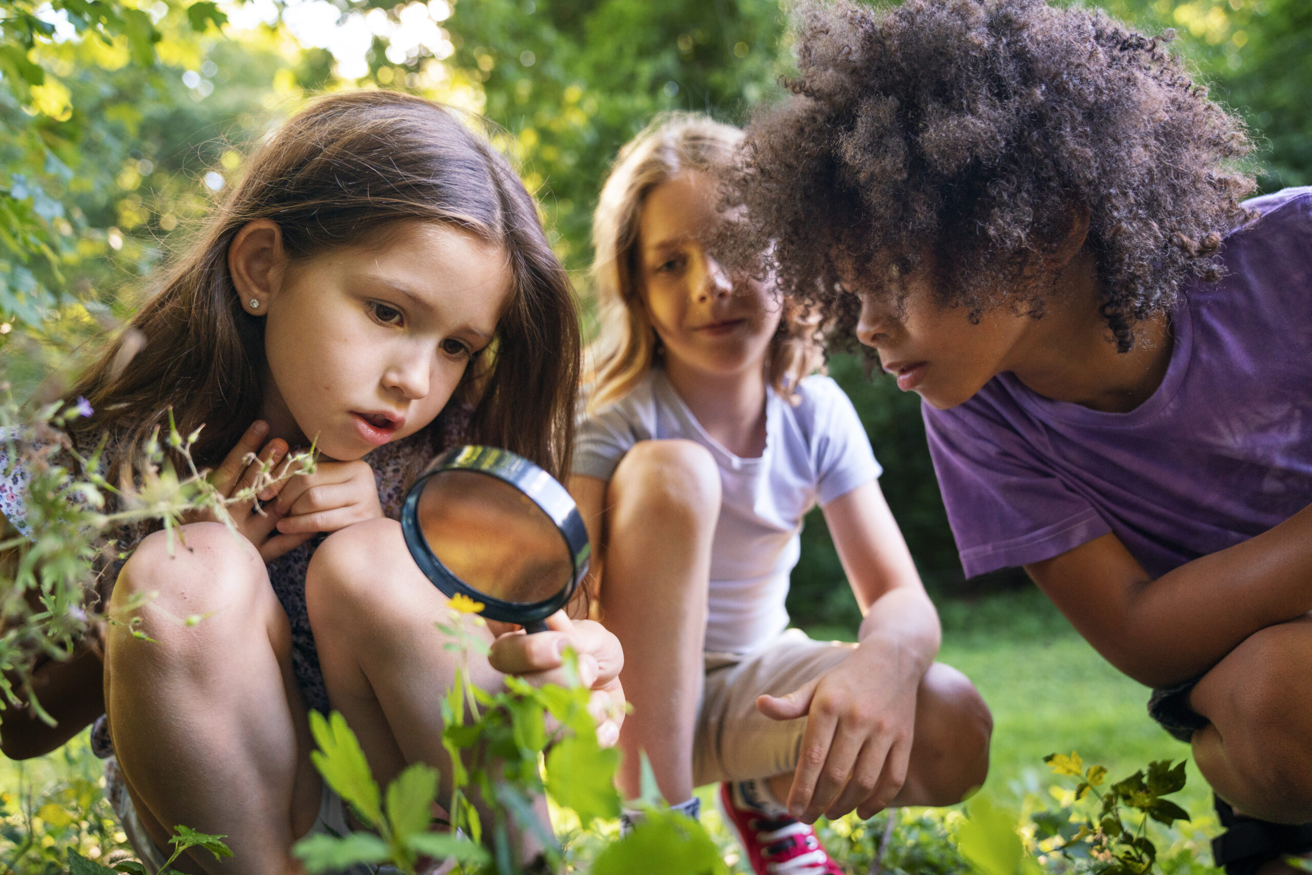 Educação Ambiental em Ação: Lei nº 2769 Implanta Programa ‘Escola Sustentável’ em Magé