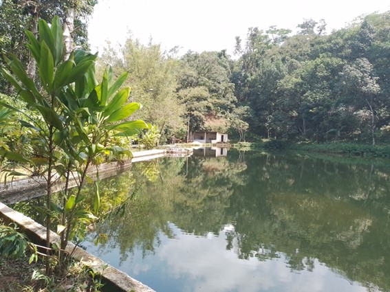 Lei proíbe banhos e atividades recreativas nos açudes de Raiz da Serra e Pau Grande